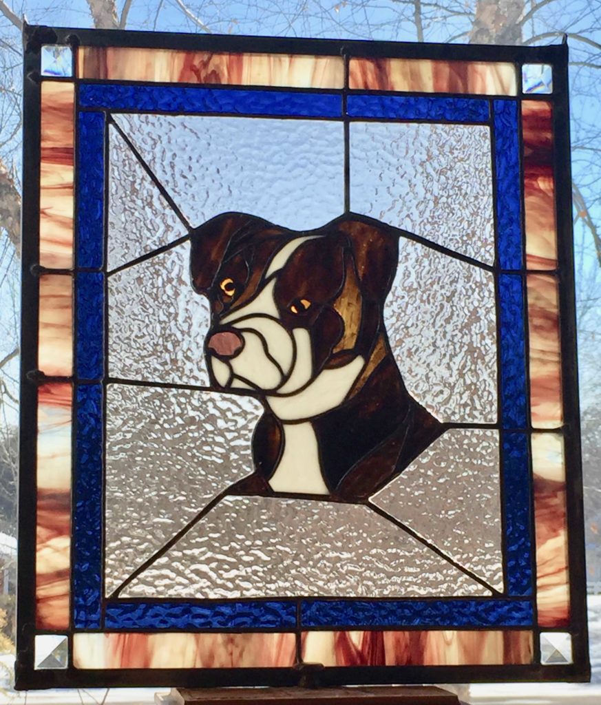 Angie the Pit Bull