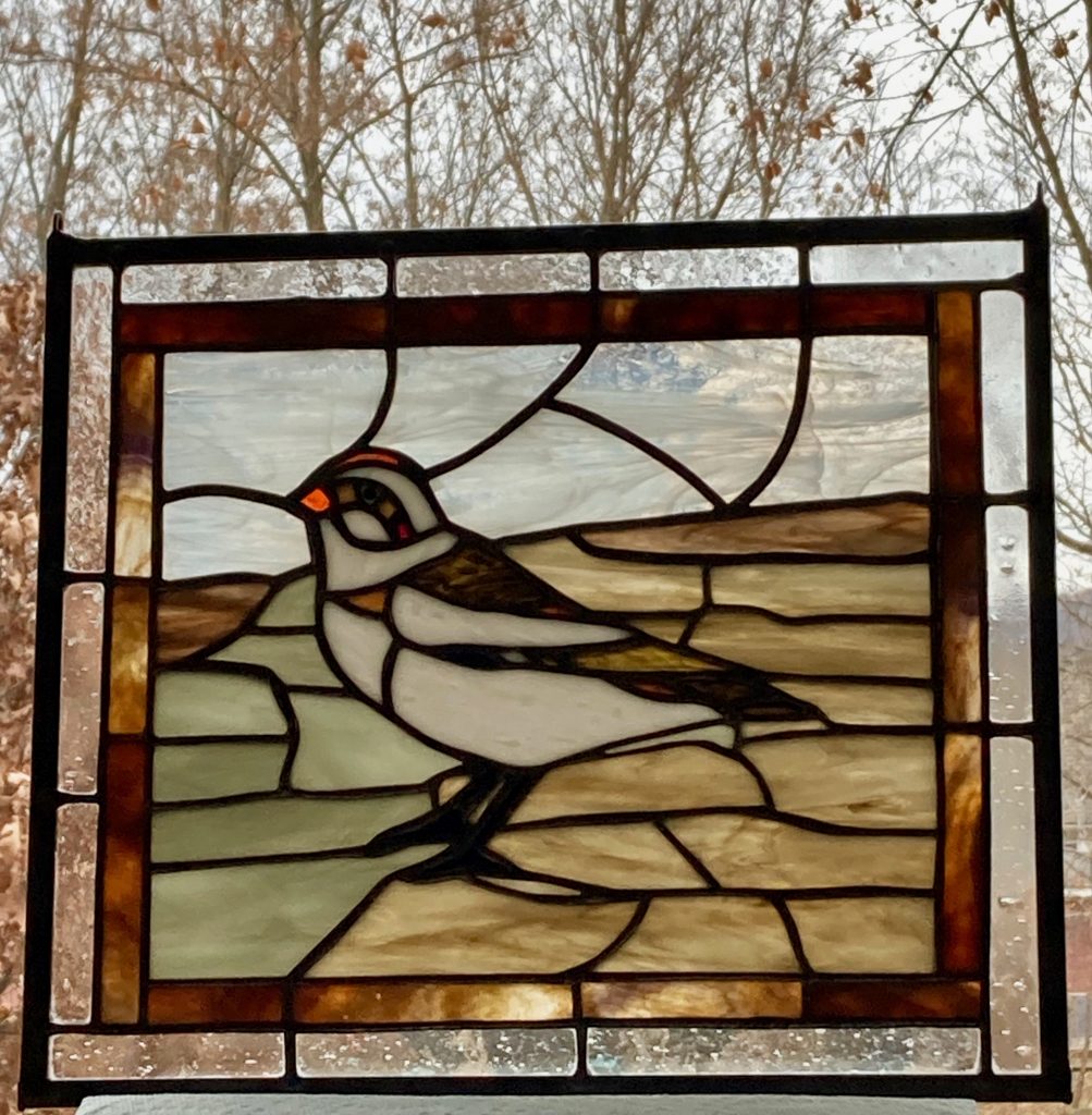 Snow Bunting