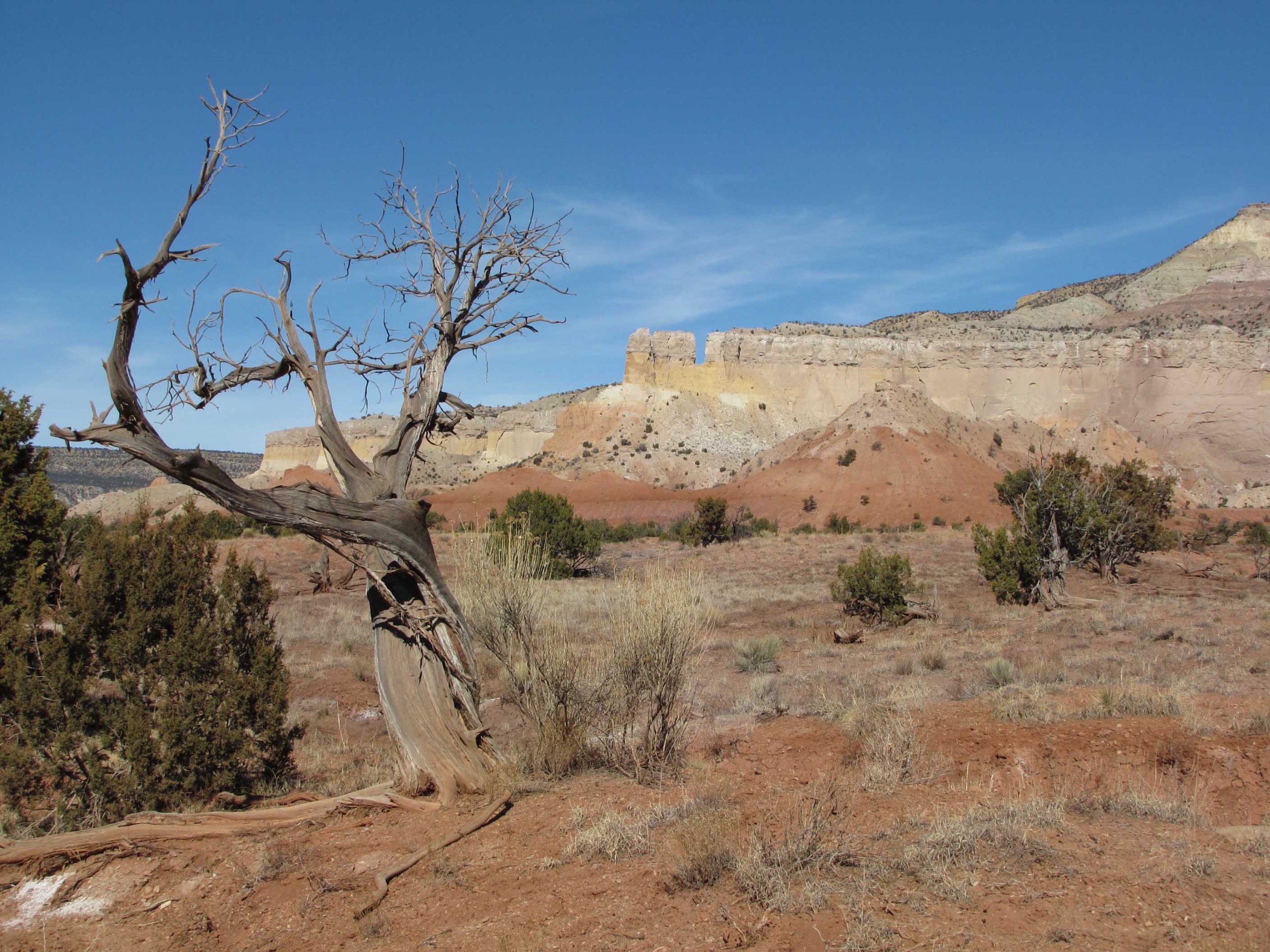 Ghost_Ranch_1_photo